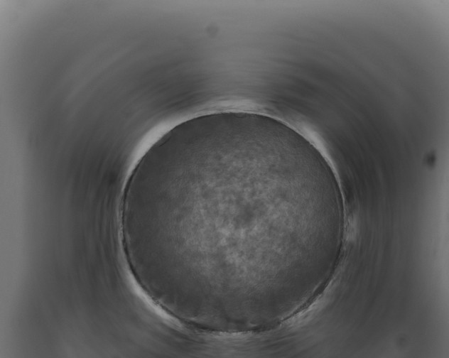 X0000089961389200707061131