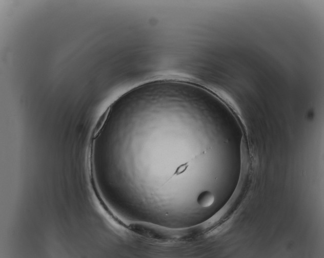 X0000089961391200707061131