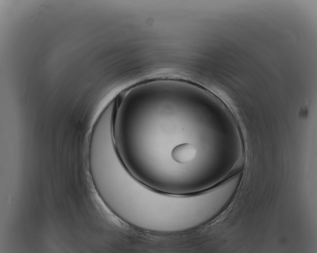 X0000089961392200707061131