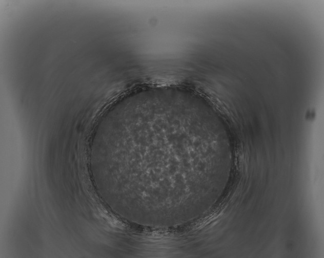 X0000089961393200707061131
