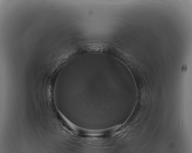X0000089961394200707061131