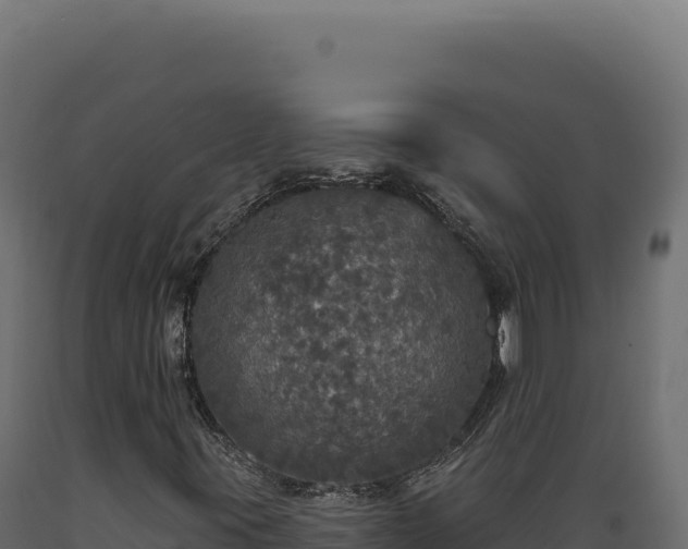 X0000089961395200707061131