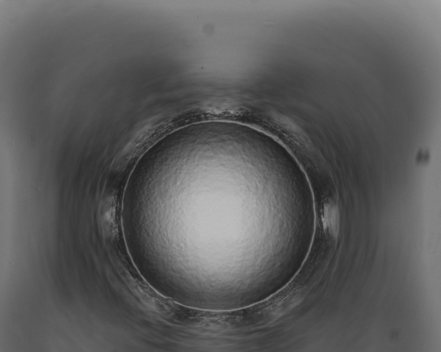 X0000089961396200707061131