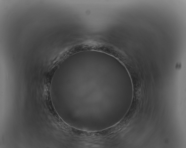 X0000089961397200707061131