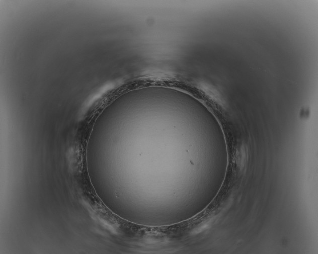 X0000089961398200707061131