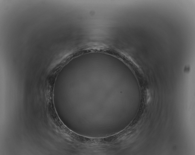 X0000089961399200707061131