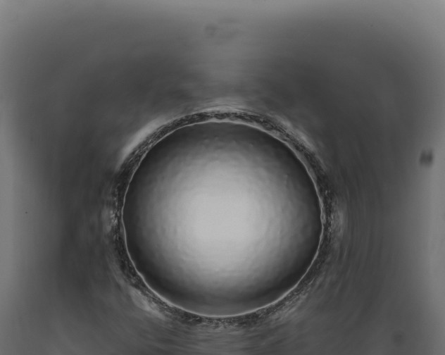 X0000089961400200707061131
