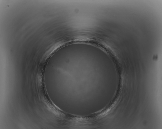 X0000089961401200707061131