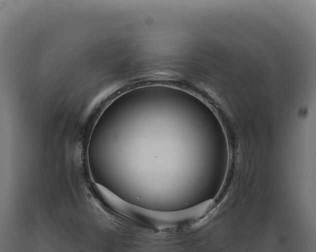 X0000089961402200707061131