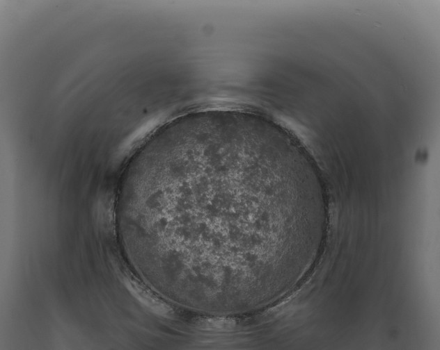 X0000089961403200707061131