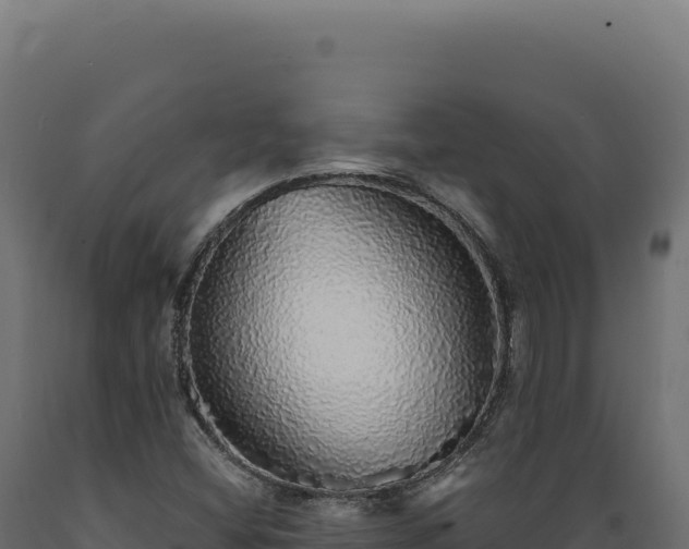 X0000089961404200707061131