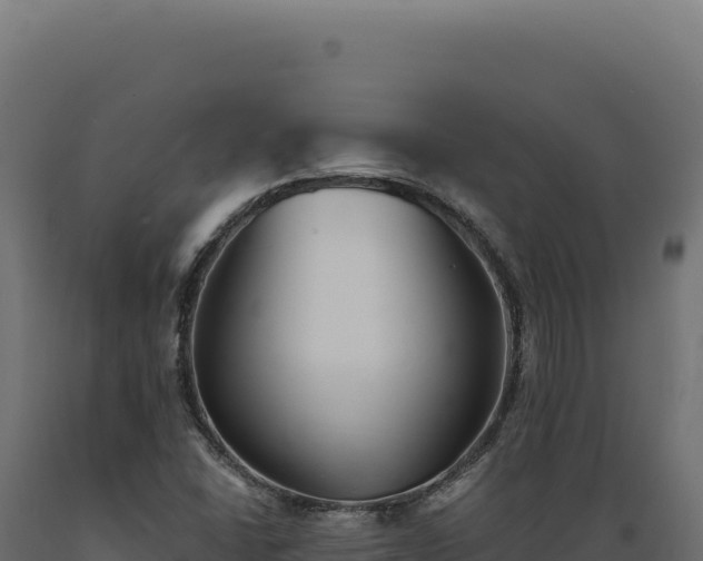X0000089961406200707061131