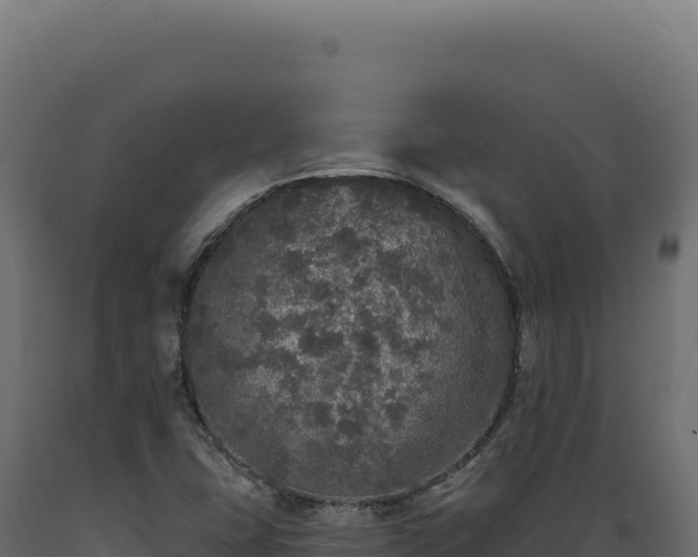 X0000089961407200707061131