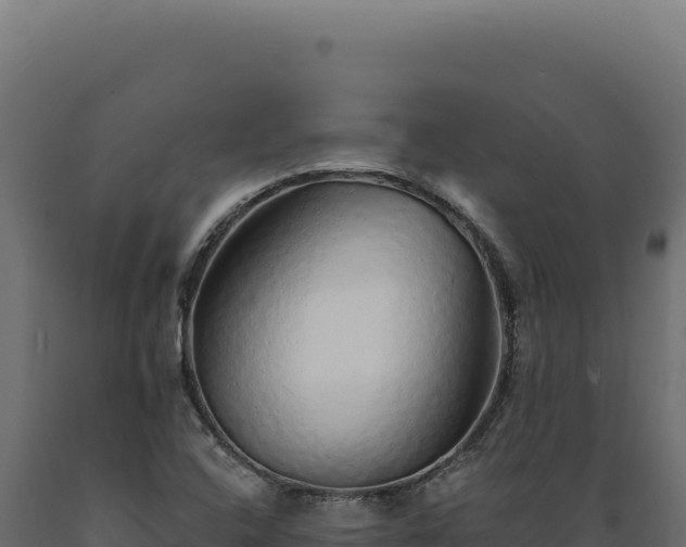 X0000089961408200707061131