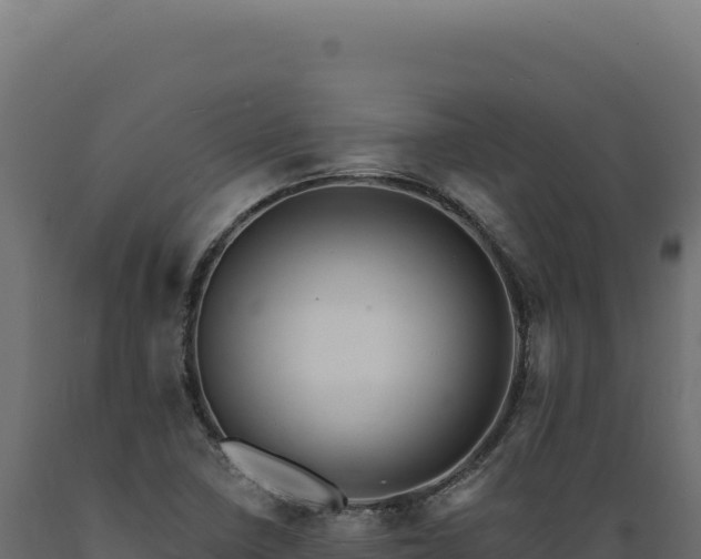 X0000089961410200707061131