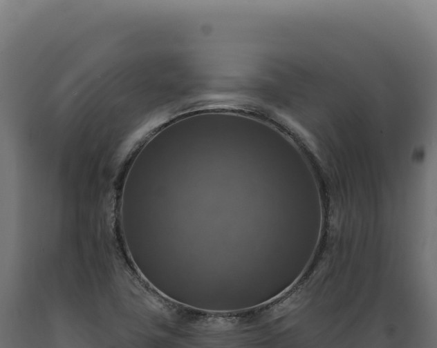 X0000089961411200707061131