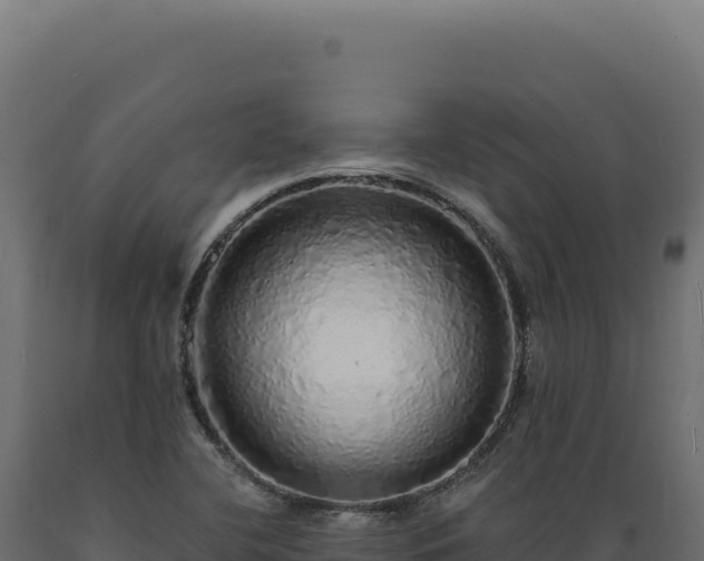 X0000089961412200707061131