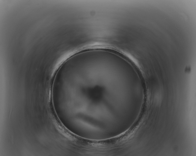 X0000089961413200707061131