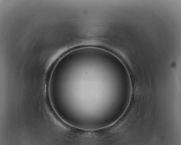 X0000089961414200707061131