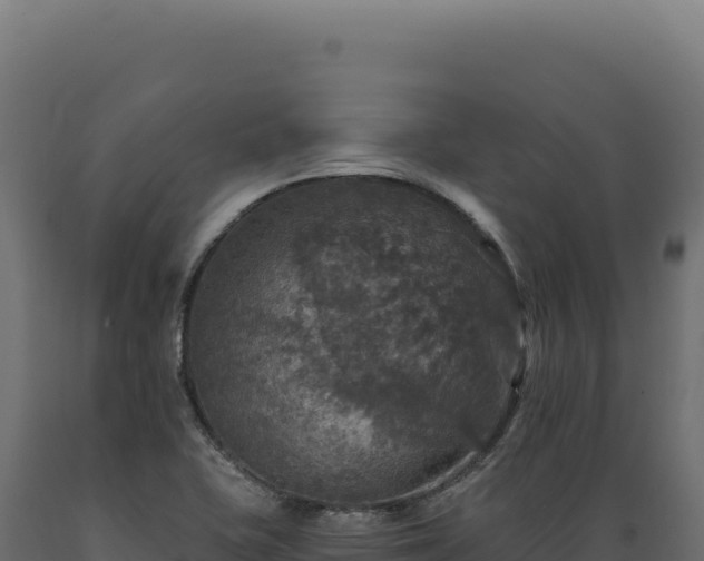 X0000089961415200707061131