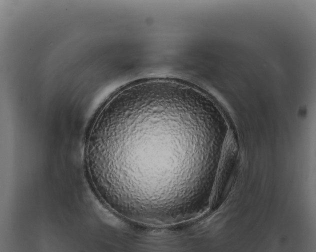 X0000089961416200707061131