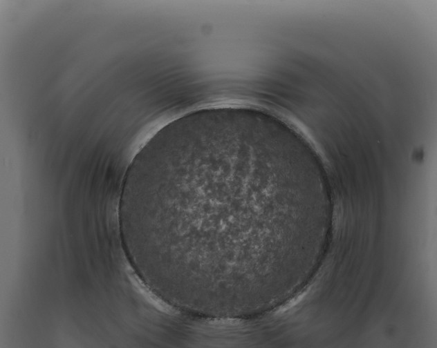 X0000089961417200707061131