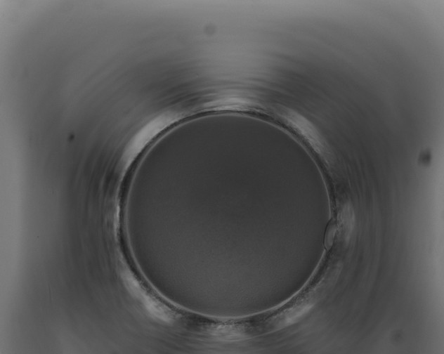 X0000089961418200707061131