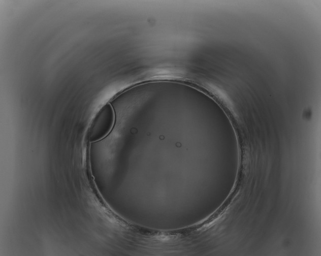 X0000089961419200707061131