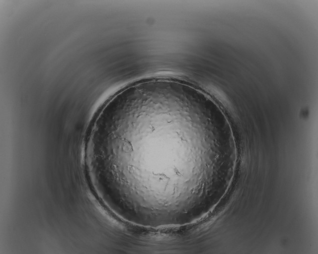 X0000089961420200707061131