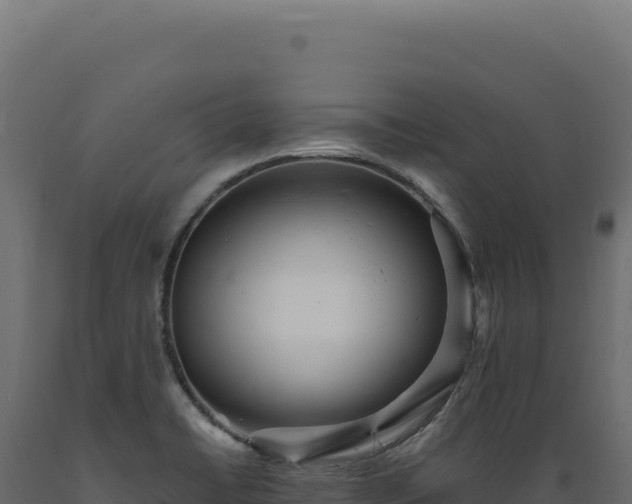 X0000089961422200707061131