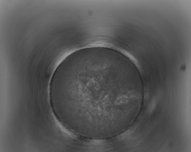 X0000089961423200707061131