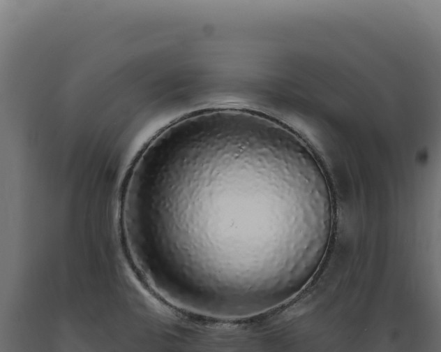X0000089961424200707061131