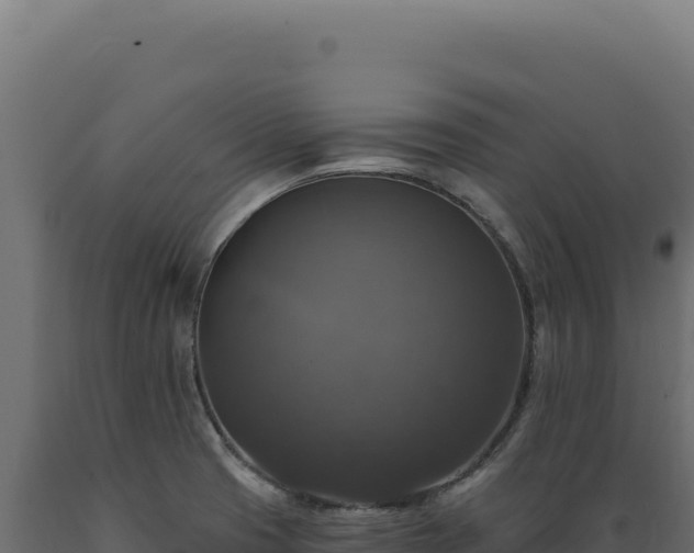X0000089961425200707061131