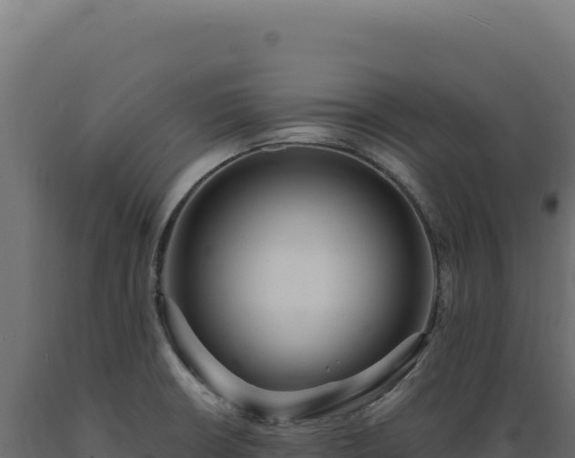 X0000089961426200707061131