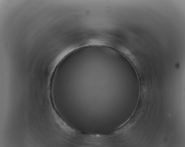 X0000089961427200707061131
