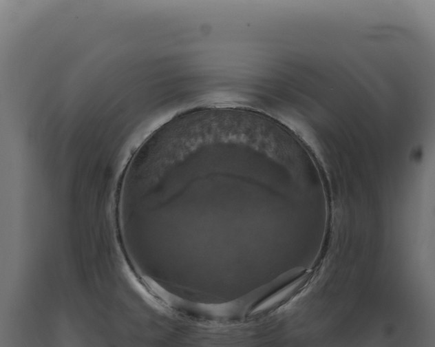 X0000089961429200707061131
