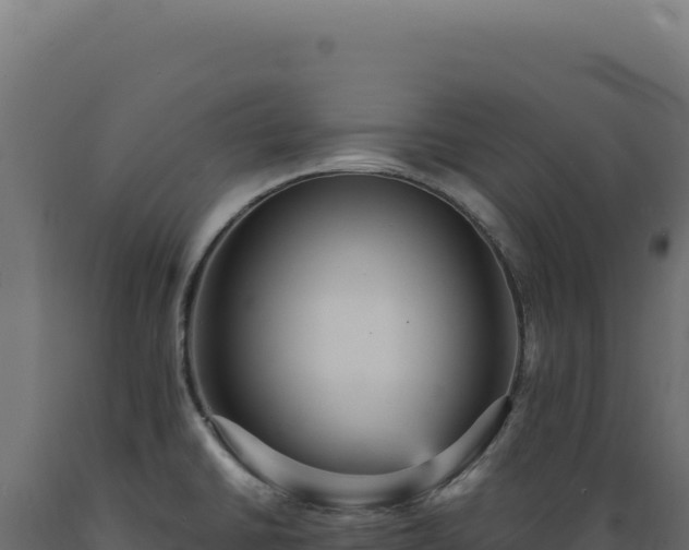 X0000089961430200707061131