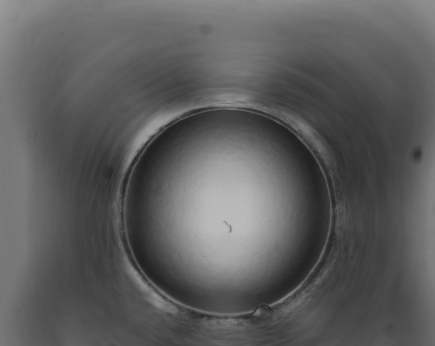 X0000089961432200707061131