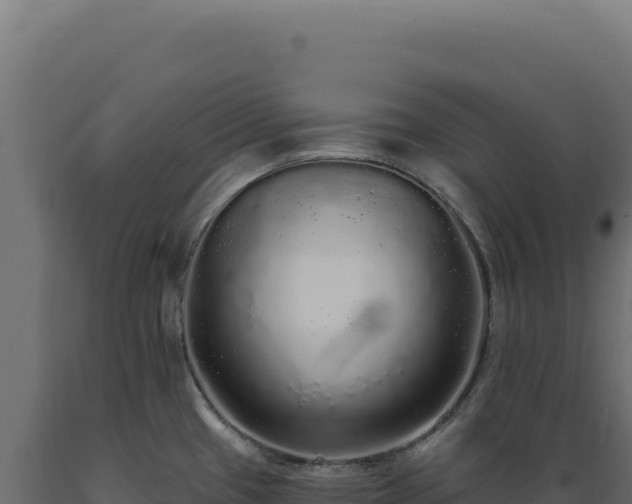 X0000089961433200707061131