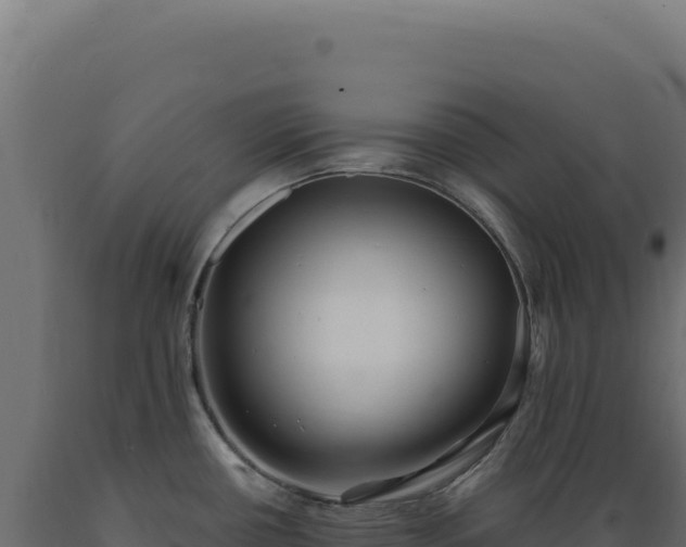 X0000089961434200707061131