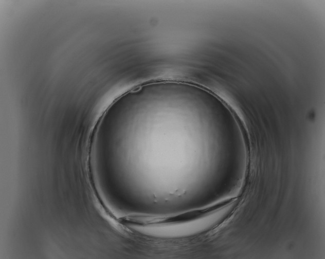 X0000089961437200707061131