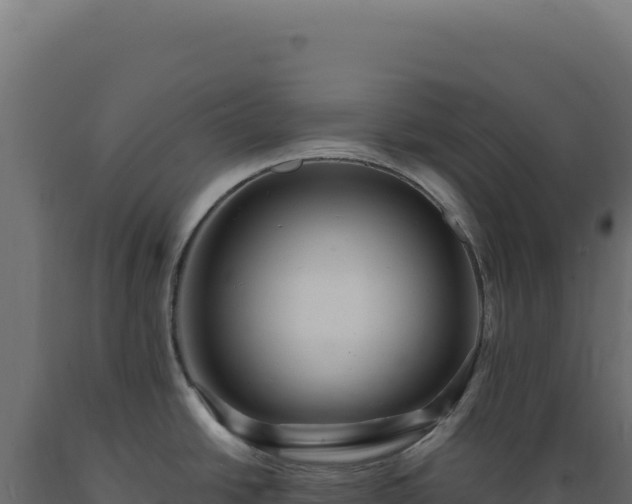 X0000089961438200707061131