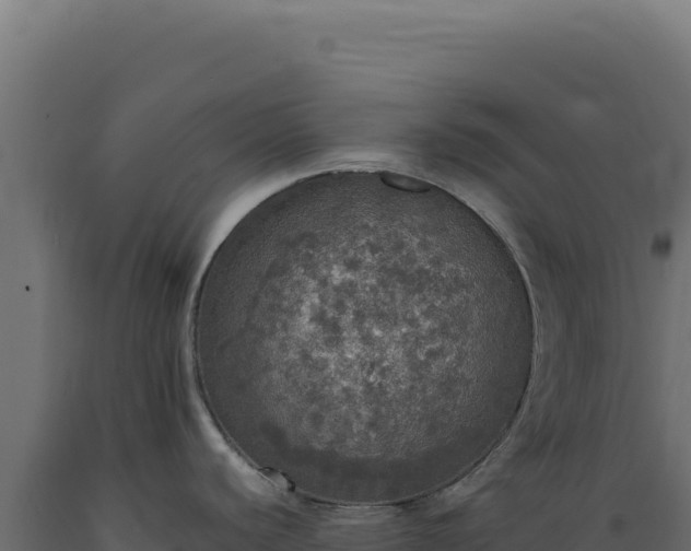 X0000089961440200707061131