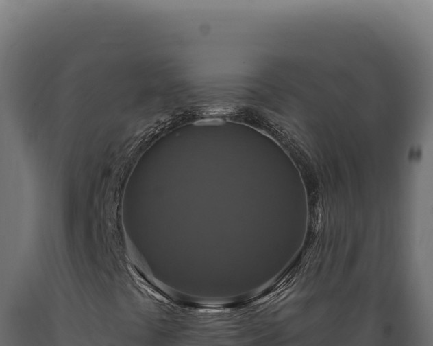 X0000089961441200707061131