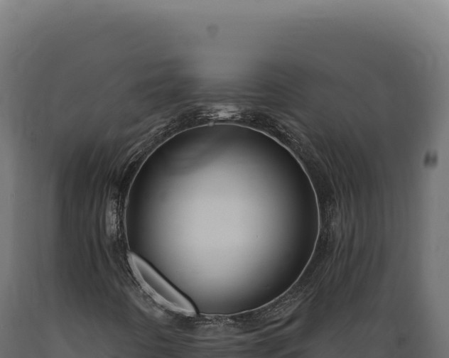 X0000089961442200707061131