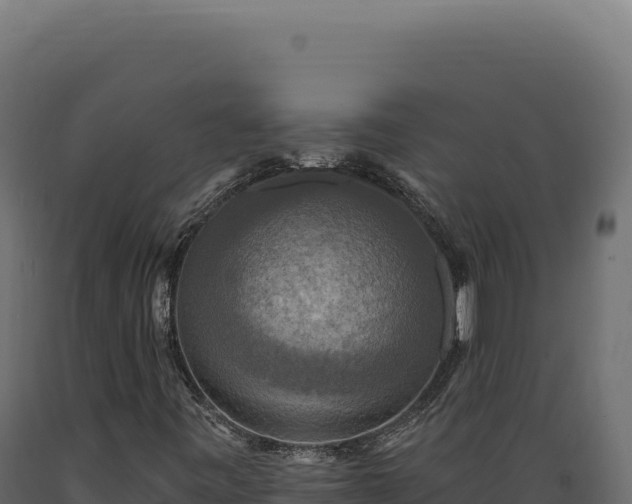X0000089961443200707061131