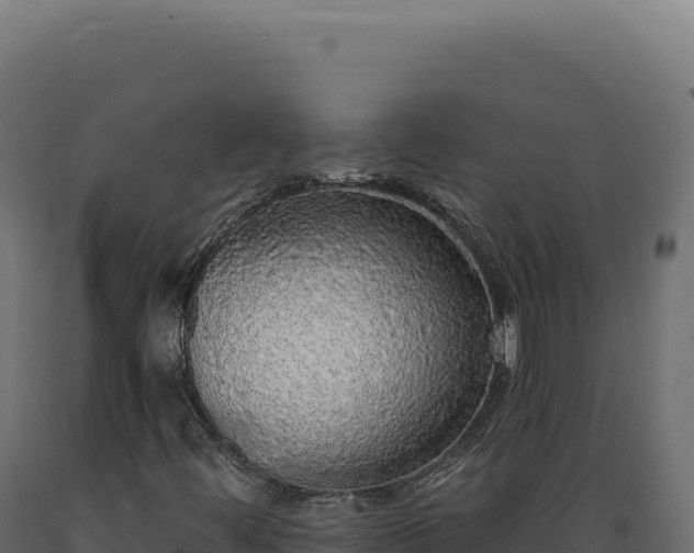X0000089961444200707061131