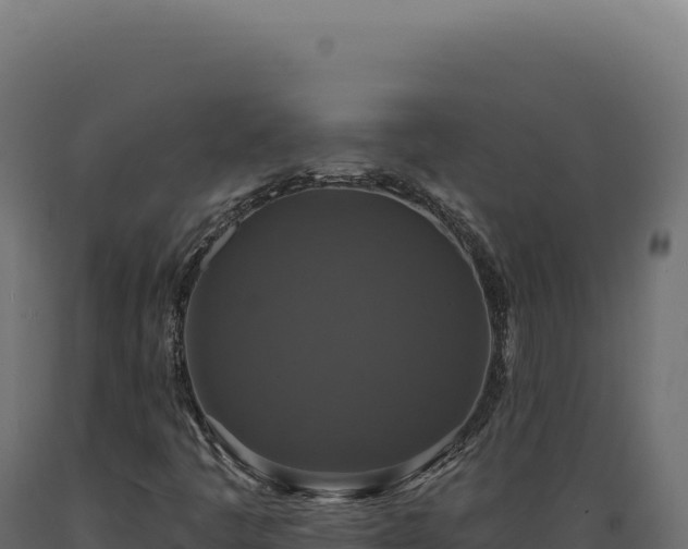 X0000089961445200707061131
