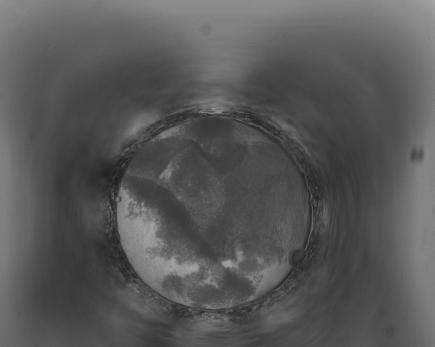 X0000089961446200707061131
