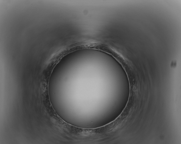X0000089961447200707061131